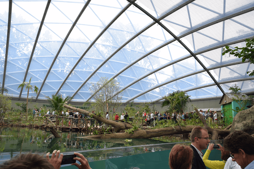 Burgers’ Zoo Mangrove, Arnhem, Nederland
